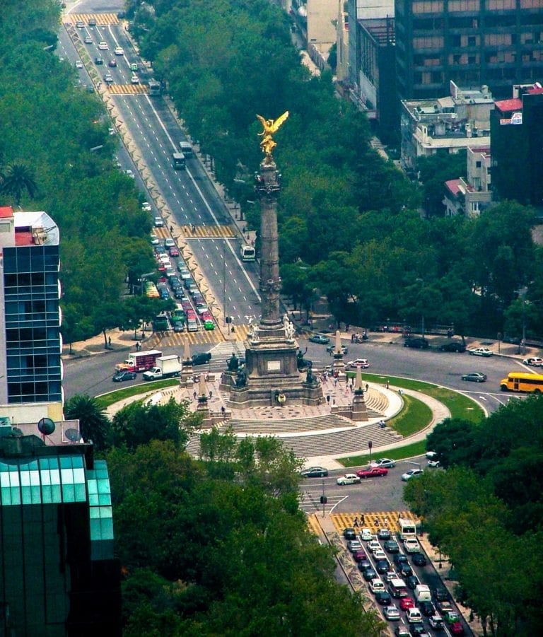 Ejemplo de “Bosque Urbano” sobre la avenida Paseo de la 
Reforma. (Foto de Francisco Martínez © 201