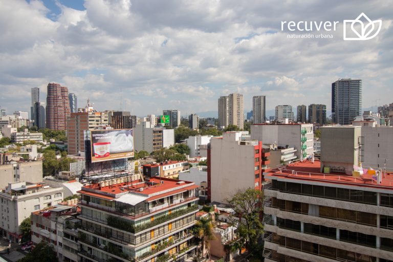 El crecimiento constante de la Ciudad de México
ha representado la pérdida de áreas verdes.