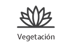 Vegetación azoteas verdes Recuver