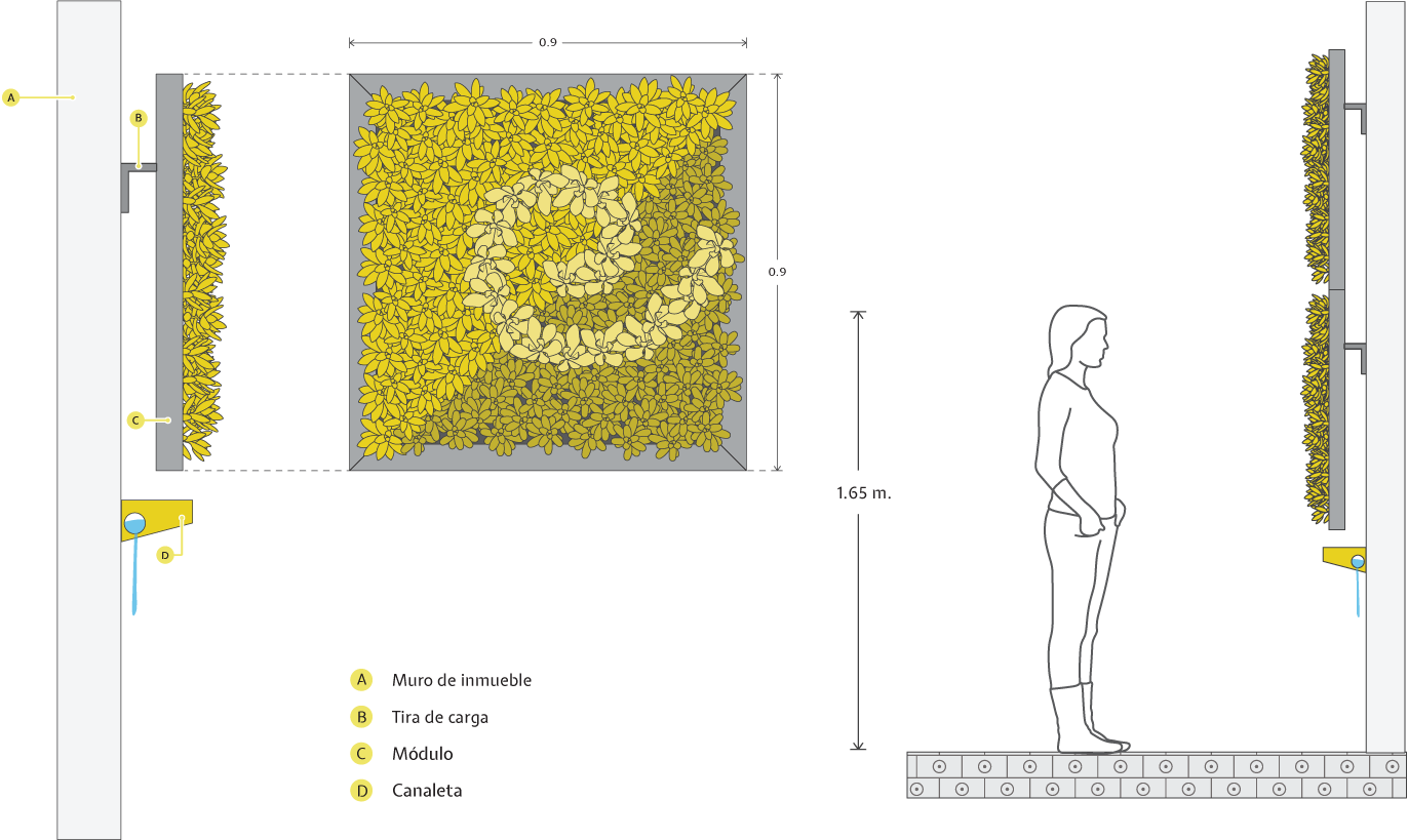 Imagen técnica Muro Verde Medida Especial
